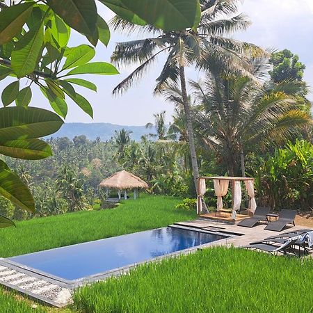 Bali De Pardis Cottage Мундук Экстерьер фото